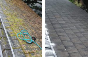 before and after roof cleaning on home in seattle