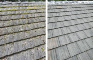 before and after roofing cleaning on home in lynnwood
