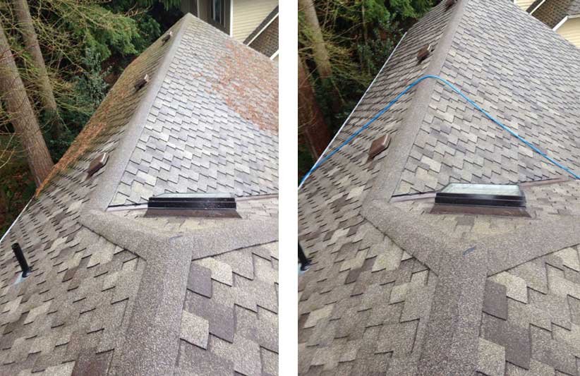 Roof Cleaning -- before and after