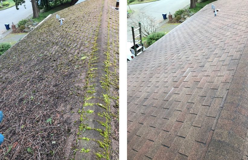 roof cleaning before and after in
