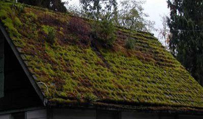 Roof Cleaning Seattle Moss Gutter Window Washing