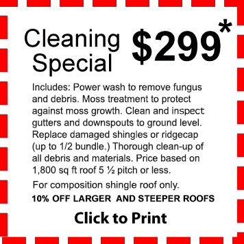 coupon_CleaningSpecial_29