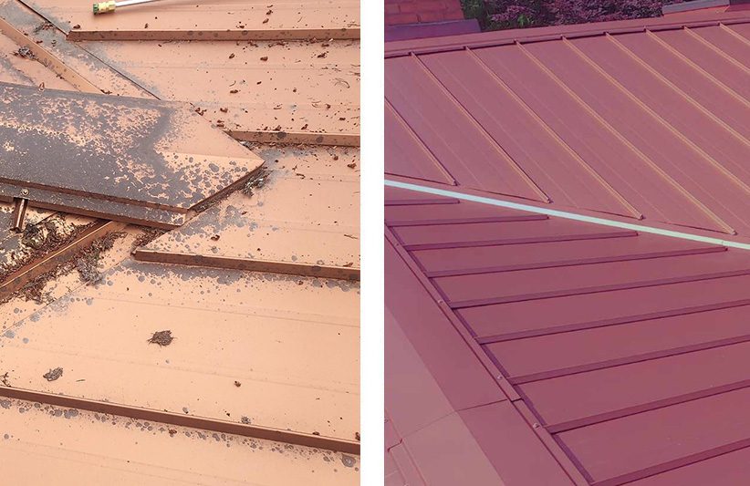 Roof Cleaning - before and after