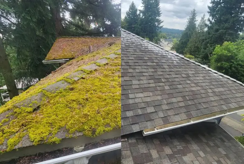 before-after_2_822x533