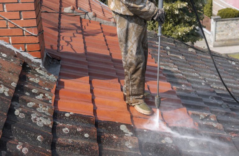 Roof Cleaning Snohomish, WA