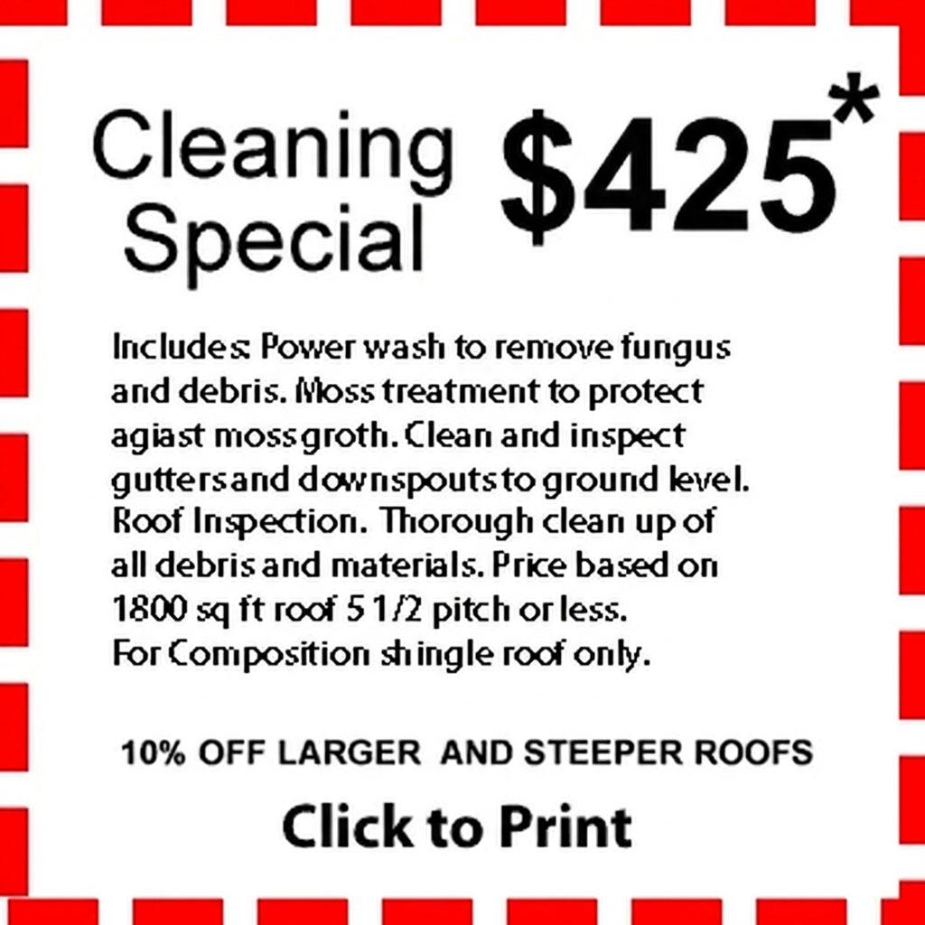 coupon_CleaningSpecial_29