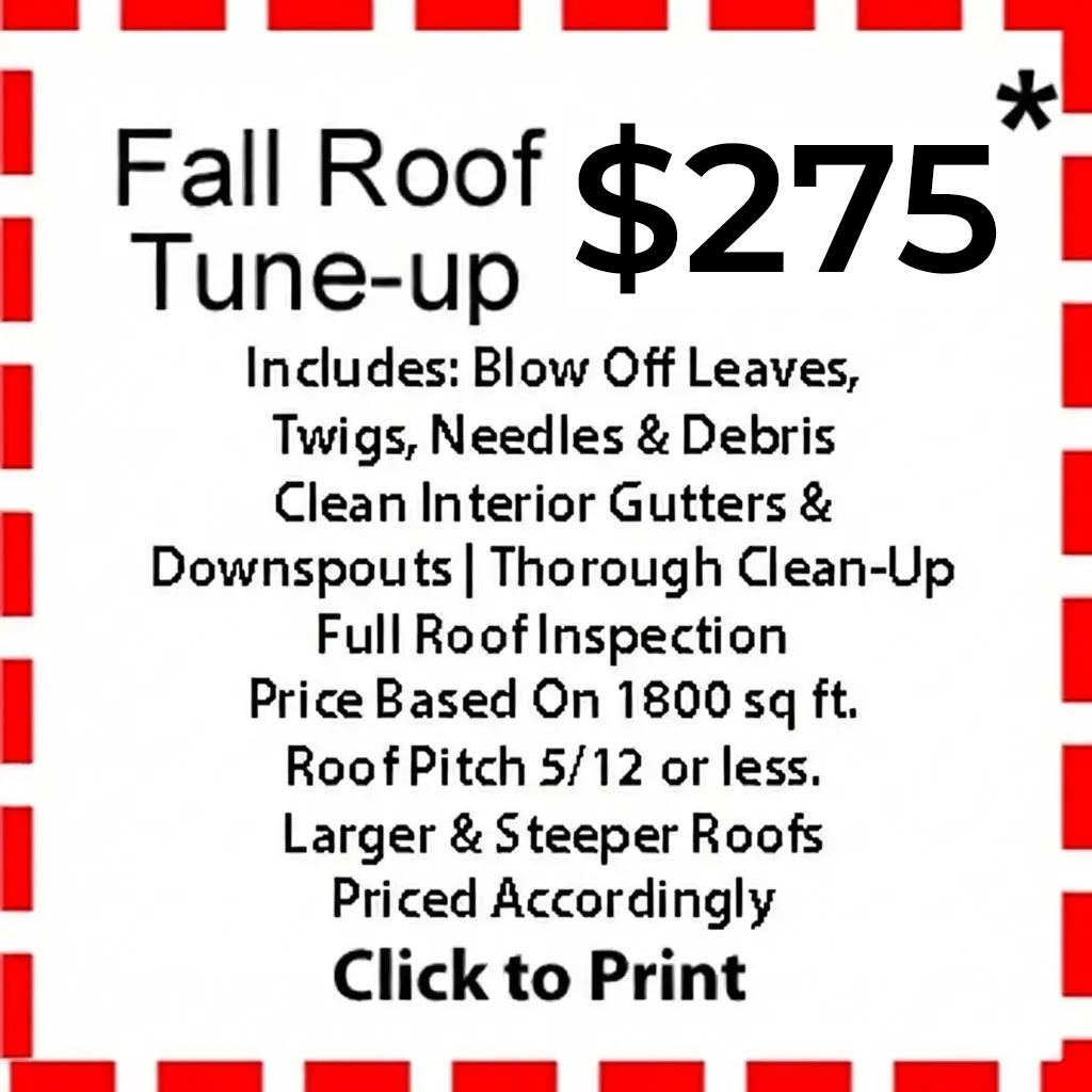 coupon_FallRoof_219