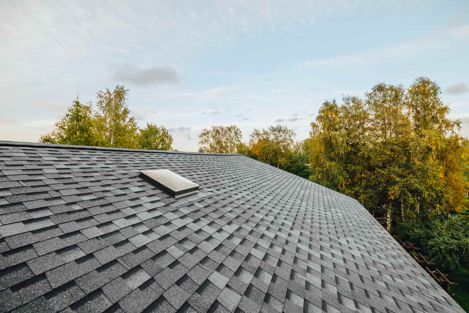 Shingle Roof