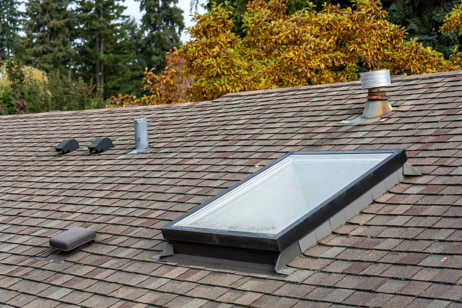 Skylight Repair