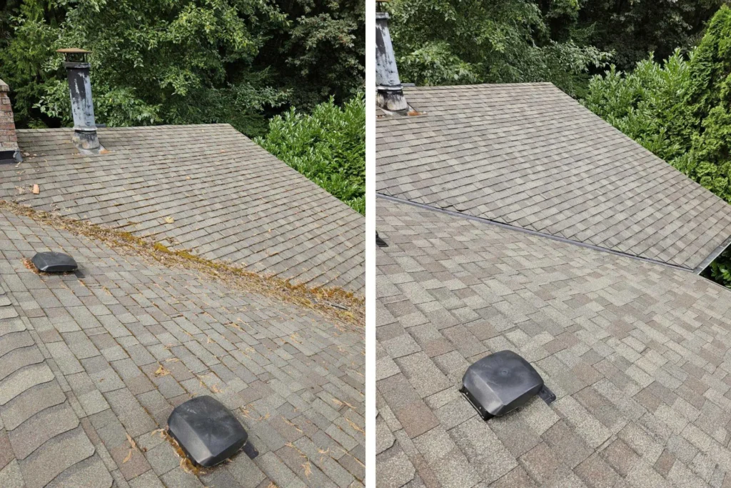 Bellevue Roof Cleaning